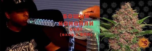 ПСИЛОЦИБИНОВЫЕ ГРИБЫ Остров