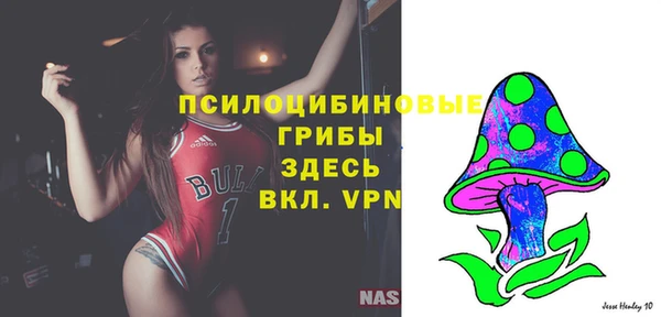 гидра Осинники