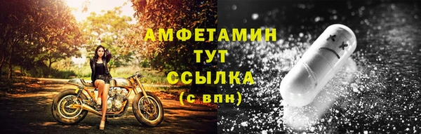 индика Нязепетровск