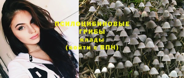 ПСИЛОЦИБИНОВЫЕ ГРИБЫ Остров
