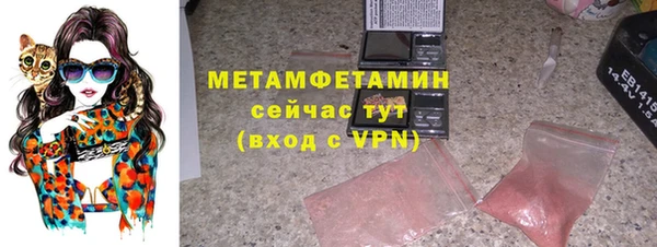 индика Нязепетровск