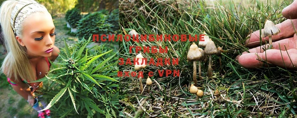 спиды Нягань