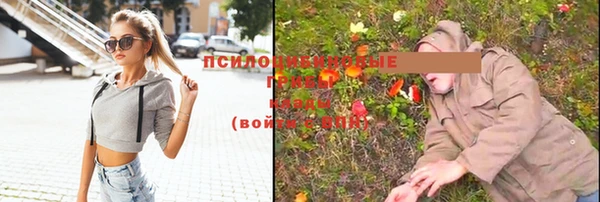 индика Нязепетровск