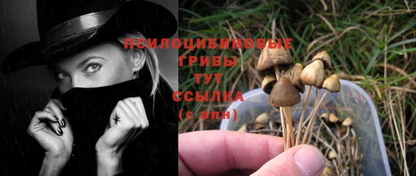 индика Нязепетровск
