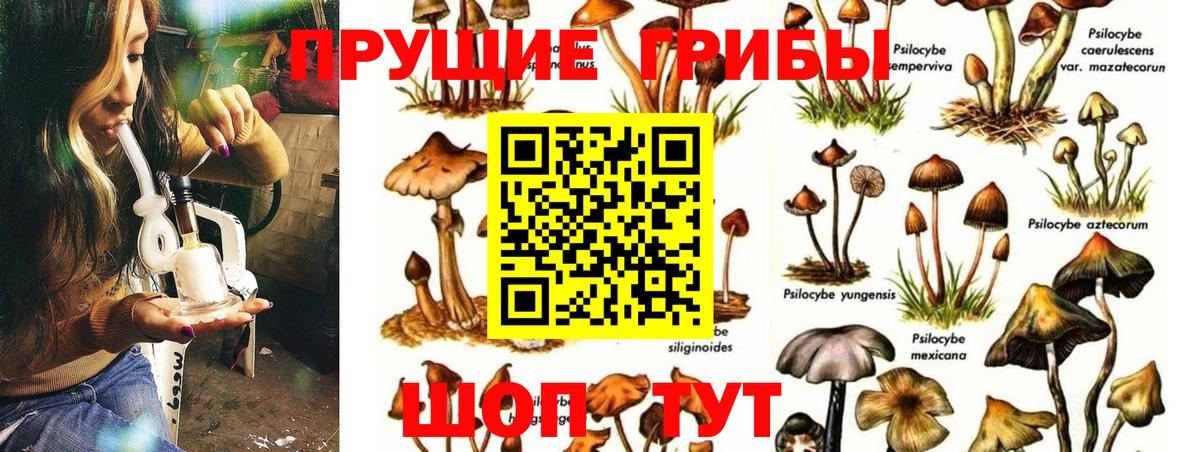 Галлюциногенные грибы Magic Shrooms Балабаново