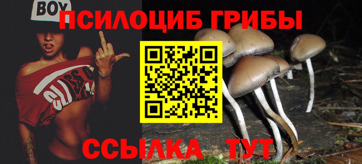 Галлюциногенные грибы Cubensis Балабаново