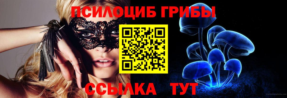 купить  сайты  Галлюциногенные грибы Psilocybine cubensis  Вход с VPN  Балабаново 