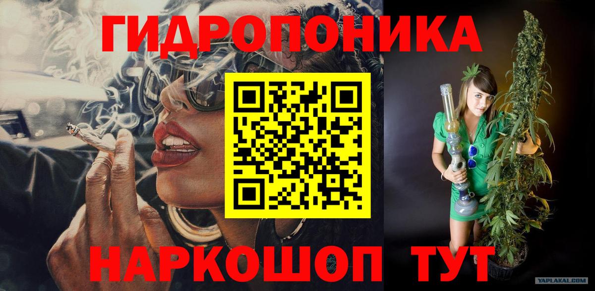 Каннабис OG Kush Балабаново