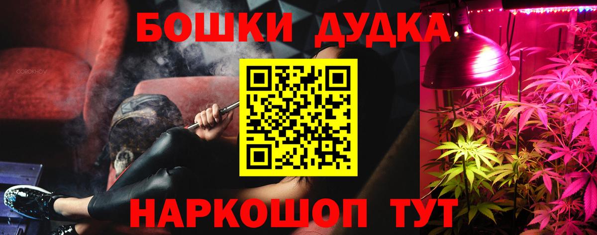 Бошки марихуана план  Марихуана Amnesia  Балабаново  Конопля сатива 